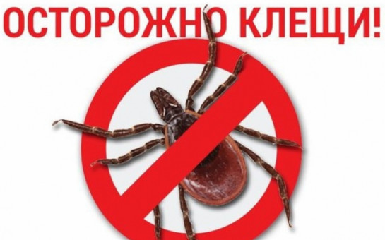 Клещи являются переносчиками ряда инфекционных заболеваний. Самая опасная болезнь – это клещевой вирусный энцефалит, поражающий преимущественно нервную систему